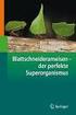 MIT DIESEM PROGRAMM. Priv.-Doz. Dr. Stefan Schneckenburger Direktor und wissenschaftlicher Leiter