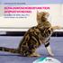 Informationen für Katzenhalter. SCHILDDRÜSENÜBERFUNKTION (HYPERTHYREOSE) So sorgen Sie dafür, dass Ihre Katze wieder sie selbst ist
