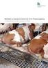 STS-MERKBLATT. Tiergerechte und kostengünstige Ställe TKS Tierfreundliche Ställe für die Rindermast