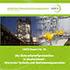 DBFZ Report Nr. 22. Die Biokraftstoffproduktion in Deutschland - Stand der Technik und Optimierungsansätze