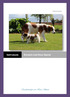 Information IMPFUNGEN KOOIKER VON HAUS SIMON. Kooikerhondje von Haus Simon