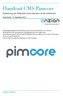 Handout CMS Pimcore. Bedienung der Webseite  für Sektionen