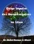 Einige Impulse des Umweltschutzes im Islam. Die Umwelthinweise im Quran und in der Sunna Dr. Abdul Nasser Al-Masri 1