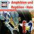 Was sind Amphibien und Reptilien?