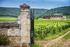 Entdecken Sie die Vielfalt der Weine Burgunds