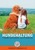 Bachblüten Produkte für Hunde. Empfohlen vom. Hundeschweiger. mit Original. Bachblüten. aus England