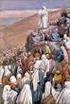 Lektion In welches Land führte Gott die Israeliten, nachdem Er sie aus Ägypten herausgeführt hatte? - Zurück in das Land Kanaan.