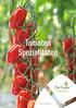 Tomaten Spezialitäten
