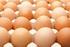 XII.6 Eier und Eiprodukte. 6.1 Eier. 6.1 Eier Gewinnung