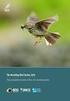 Ergebnisse des DDA-Monitoringprogramms, Teil II: Bestandsentwicklung von Waldvögeln in Deutschland