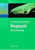 Ausgewählte biophysikalische Methoden zur Analyse von Pflanzen (II): UV/VIS-Spektroskopie - von der Pigmentanalyse bis zur Quantifizierung von mrna