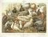 Verzeichnis der Rassetauben, List of the breeds of fancy pigeons. Liste des races de pigeons