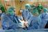 Infektionsgefahr Endoskopie in Krankenhaus und vor allem im niedergelassenen Bereich