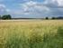 Landwirtschaft und Klimawandel Auswirkungen und Anpassungsstrategien in Hessen