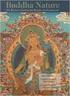 Buddha-Natur, Jamgon Kontrul Rinpoche. Buddha-Natur