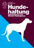 Kanton Zürich Gesundheitsdirektion Veterinäramt. Hundehaltung. Informationen zum Zürcher Hundegesetz