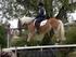 Fédération Internationale de Tourisme Equestre (FITE) Internationale Föderation für Pferdesport-Tourismus