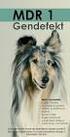 MDR1-Defekt beim Hund: