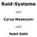Raid-Systeme Cyrus Massoumi Nabil Sahli