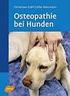 Leitsymptome und Leitbefunde bei Hund und Katze