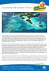 Tauchreise Mikronesien: PALAU