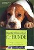 Die 38 Bachblüten für Hunde