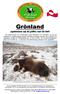 Grönland. Jagdabenteuer auf der größten Insel der Erde!