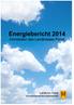 Klimaschutz im Landkreis Peine. 1. Energiebericht Zusammenfassung und Übersicht der Verbräuche und Kosten 2