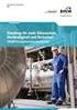 Stand des DVGW-Forschungsprogramms Biogas