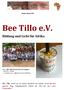 Bee Tillo e.v. Bildung und Licht für Afrika