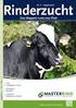 Beziehungen zwischen Milchleistung, Energieversorgung und Fruchtbarkeit unter den Bedingungen von Hochleistung beim Rind