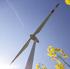 Daten über erneuerbare Energieträger in Österreich - Stand August