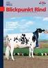 W Zuchtwertschätzung W Schaubericht Blickpunkt Rind W Jahresabschluss MLP W Geschäftsbericht RBB/RZB W Fleischrindertag