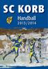 SC KORB. Handball 2012/ /2014