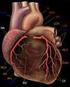 Koronare Herzerkrankung Diagnostik nicht-invasiv