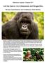 Auf den Spuren von Schimpansen und Berggorillas
