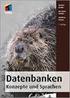 Gunter Saake Kai-Uwe Sattler Andreas Heuer. 5. Auflage. Datenbanken Konzepte und Sprachen