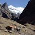 NEPAL - Dhaulagiri Trekking mit Besteigung Thapa Peak m Über hohe Pässe rund um den Weißen Berg
