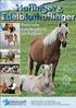 Zuchtprogramm des Landesverbandes der Pferdezüchter Oberösterreichs für Pferde der Rasse Pinto Reitpferd