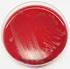 Aktuelles zur Clostridium-difficile-Infektion: Epidemiologie, Hygiene, Rezidivprophylaxe, Therapie