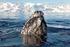 Ausweisung von Meeresschutzgebieten in der Antarktis (CCAMLR)