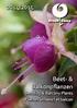 Beet- und Balkonpflanzen 2013/2014: Empfehlenswerte Sorten für den ökologischen Zierpflanzenbau