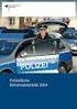 Polizeiliche Kriminal- Statistik 2007
