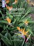 Madeira. Blumeninsel im Atlantik. Umweltschutz Grüne Ideen für die grüne Insel. Blütenzauber Die schönsten Gärten. Porto Santo Insel mit Traumstrand