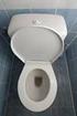 Der Einfluss moderner Toiletten spülungen auf den Trinkwasserbedarf der Haushalte