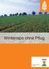 Winterraps ohne Pflug