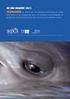 { whales.org } Updates von den Patentieren. Nachrichten von WDC, Whale and Dolphin Conservation Herbst 2014 Nr. 8 WANDERER IN DEN WELTMEEREN