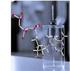 NMR-Spektroskopie: Struktur und Dynamik organischer Moleküle