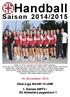 Handball. Saison 2014/ Herren AMTV - Hamburg-Liga