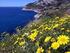 Kultur & Wandern zum Frühlingsauftakt Toskana-Elba April 2015